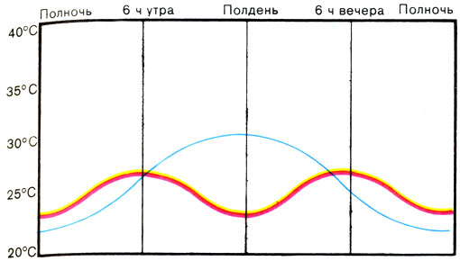 Жизнь до человека