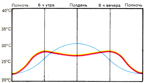 Жизнь до человека