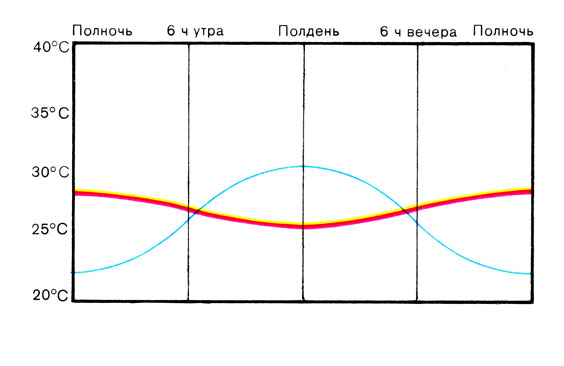 Жизнь до человека