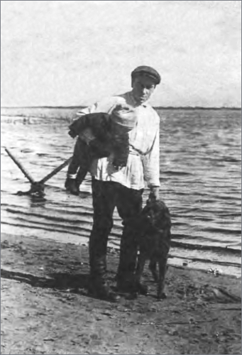 Осколки зеркала