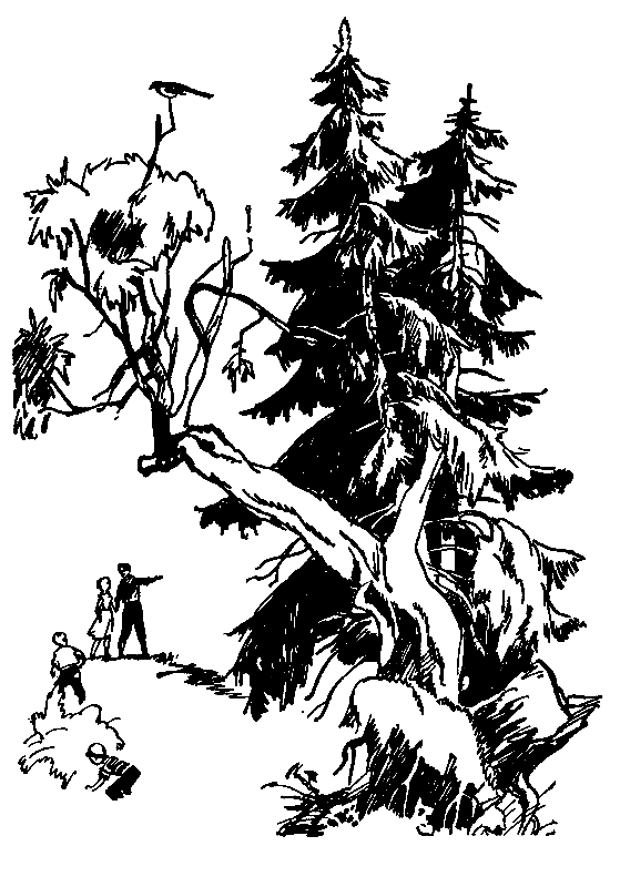 В дебрях Кара-Бумбы. Сборник