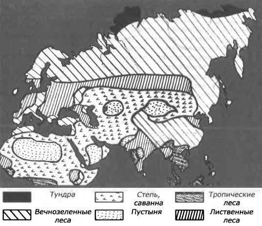 Становление и первичное расселение рода «Homo»