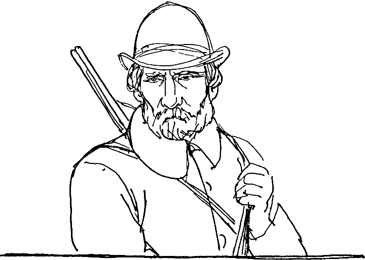 История девяти сюжетов