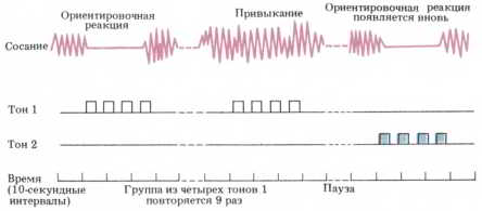 Мозг, разум и поведение