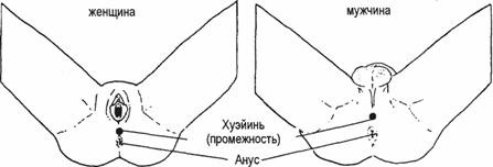100 дней для здоровья и долголетия