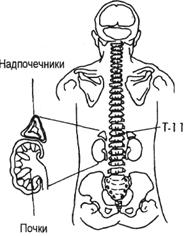 100 дней для здоровья и долголетия
