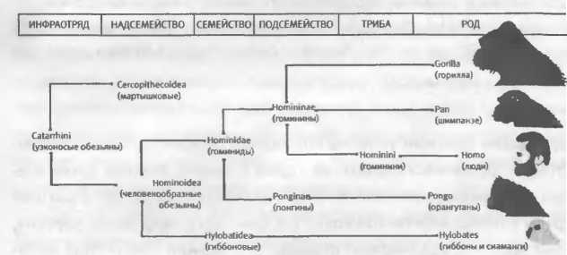 Хозяева Земли