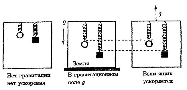 Фейнмановские лекции по гравитации