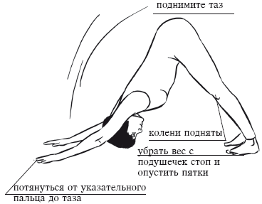 Йога и секреты долголетия