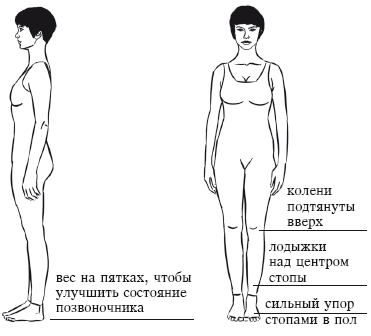 Йога и секреты долголетия