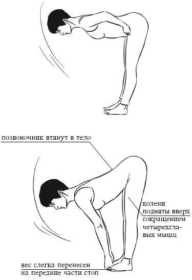 Йога и секреты долголетия