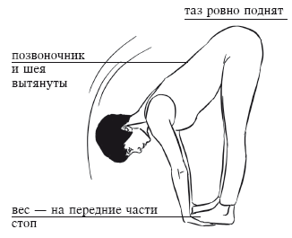 Йога и секреты долголетия