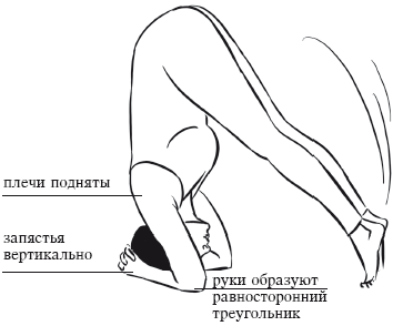Йога и секреты долголетия