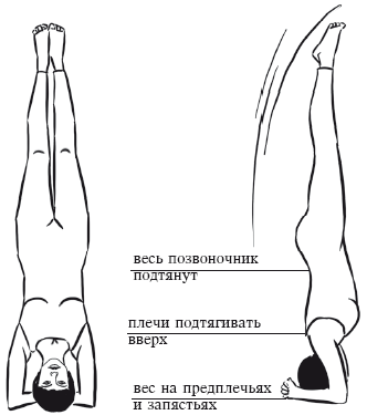 Йога и секреты долголетия