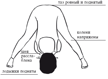 Йога и секреты долголетия