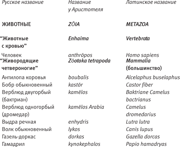 Анн Косенс Купается С Ребенком В Ванне – Секрет (2000)