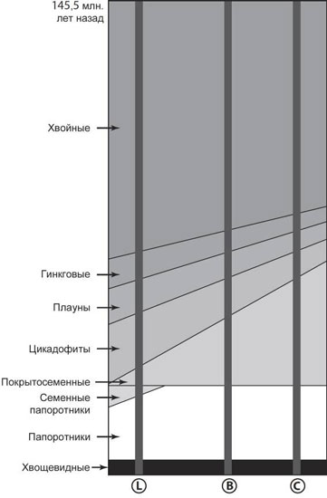 Кто кусал динозавров?