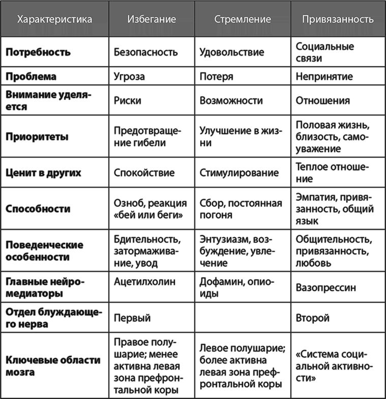 Жизнь в стиле Fun