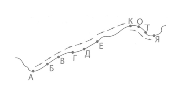 Жизнь по своим правилам