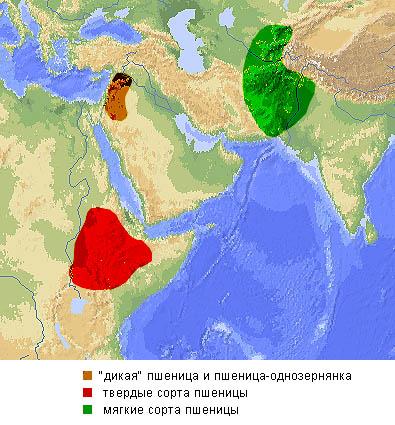 Наследие пьяных богов (Битва за урожай: кому и зачем она понадобилась…)