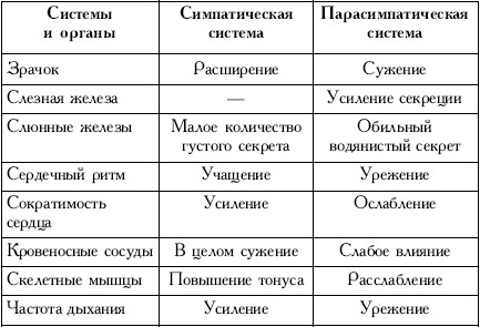 Пространство психосоматики