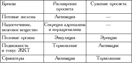 Пространство психосоматики