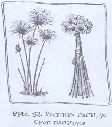 Происхождение человечества