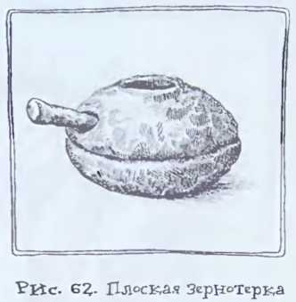 Происхождение человечества