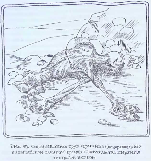 Происхождение человечества