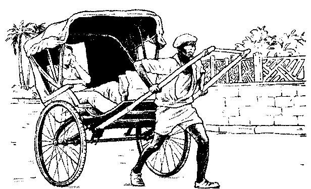 Птица-пересмешник. (Новый перевод).