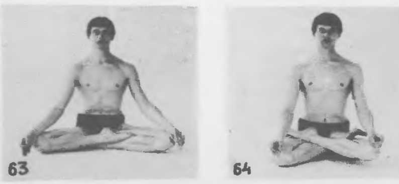 Начала Хатха йоги