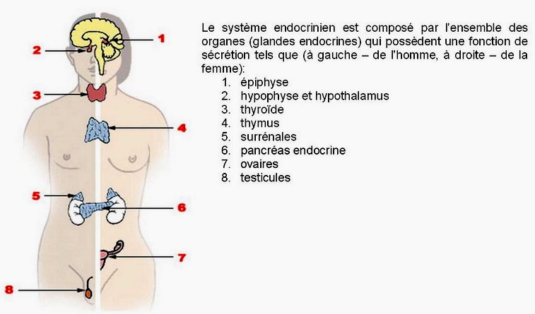 La Doctrina Secrete des jours de l'Apocalypse