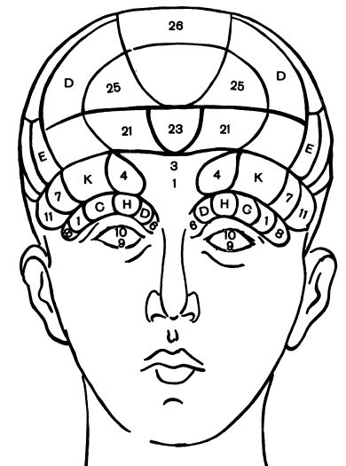 Френология. Физиогномика. Хиромантия. Хирогномия. Графология