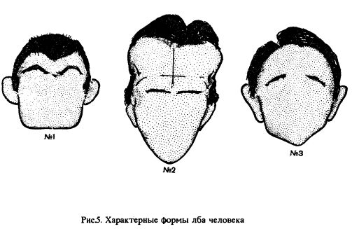 Френология. Физиогномика. Хиромантия. Хирогномия. Графология