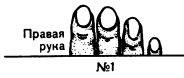 Френология. Физиогномика. Хиромантия. Хирогномия. Графология