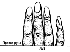 Френология. Физиогномика. Хиромантия. Хирогномия. Графология