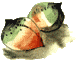 Огненный бог Марранов(с иллюстрациями)