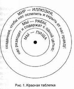 Воин Матрицы