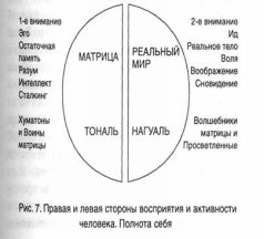 Воин Матрицы