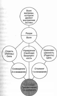 Воин Матрицы