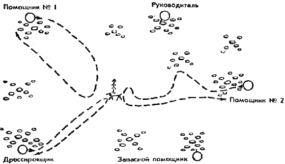 Дрессировка служебных собак