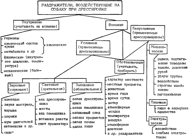 Дрессировка служебных собак