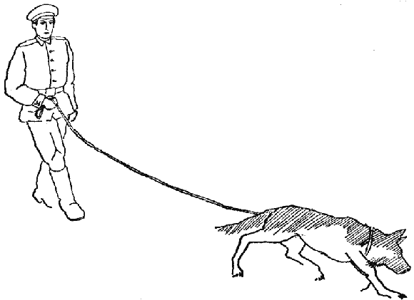 Дрессировка служебных собак