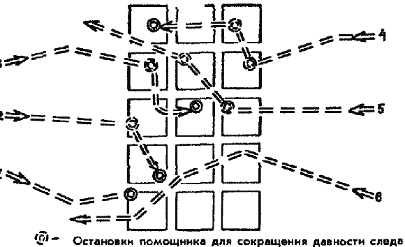 Дрессировка служебных собак