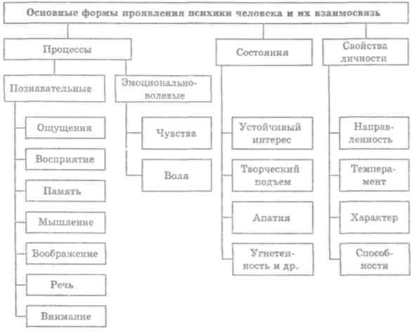 Основы психологии