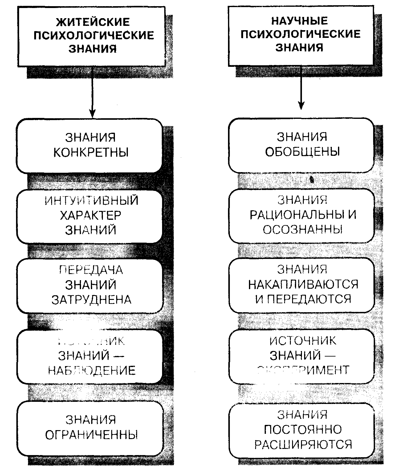 Общая психология