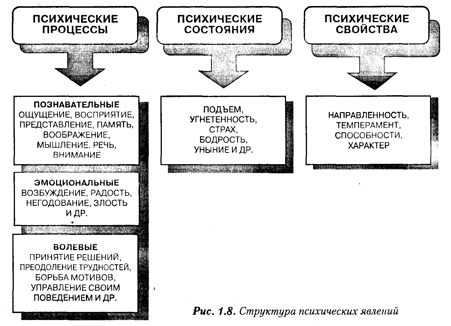 Общая психология