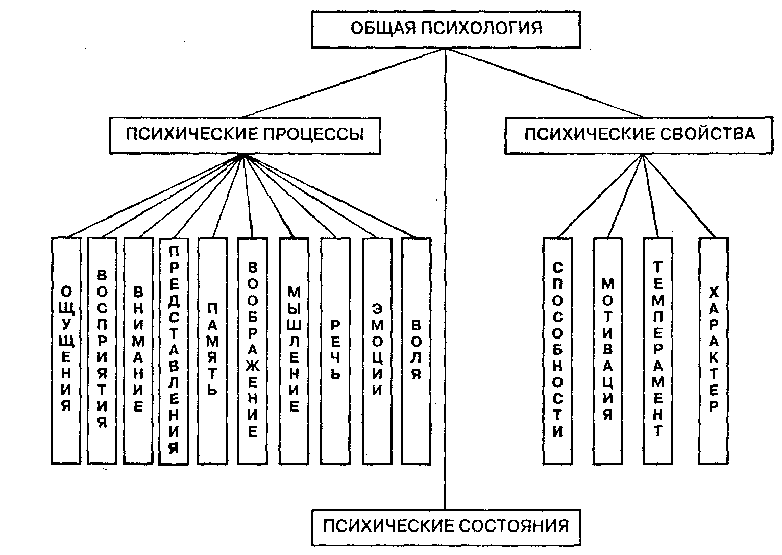 Общая психология