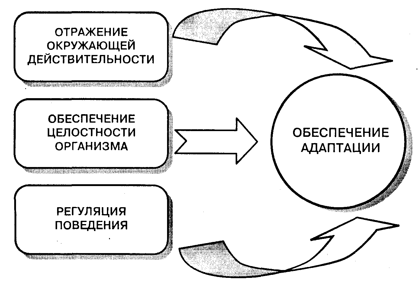 Общая психология