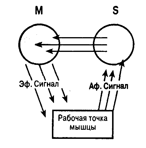 Общая психология